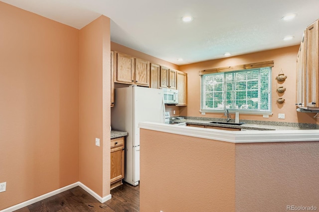 6355 Torrey Way, Arvada, CO 80403 - photo 9