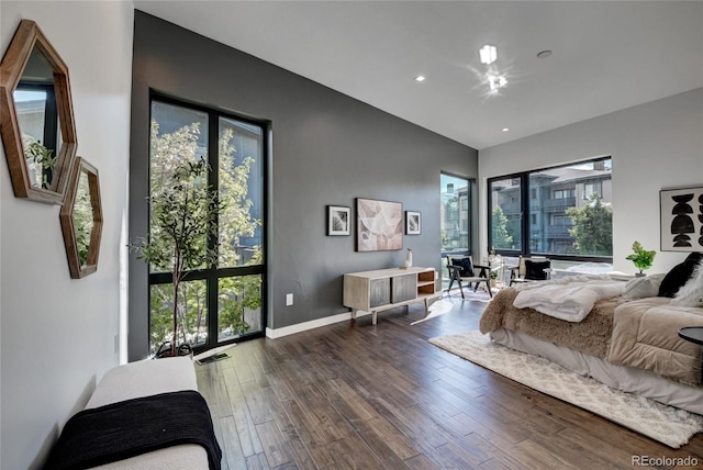 bedroom featuring dark hardwood / wood-style floors