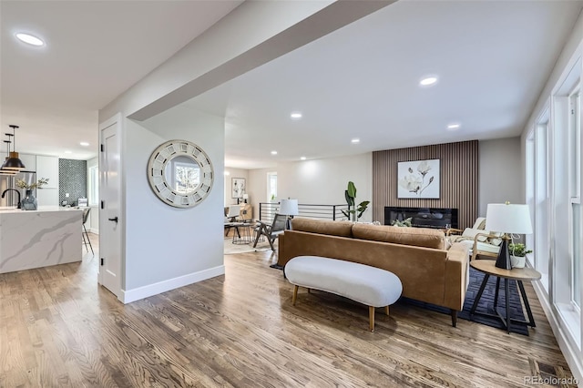 living room featuring wood-type flooring