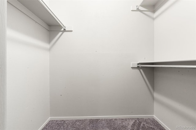 walk in closet featuring carpet