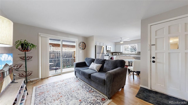 living room with light hardwood / wood-style floors, ceiling fan, and sink