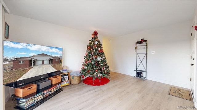 playroom featuring light hardwood / wood-style flooring