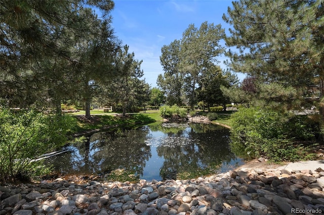 12756 E Harvard Cir, Aurora, CO 80014 - photo 13