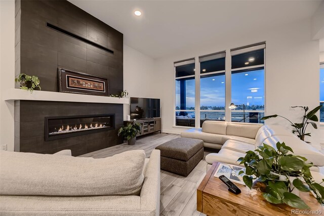 8868 Geyser Peak Way, Parker, CO 80138 - living area featuring wood finished floors, a fireplace, and recessed lighting