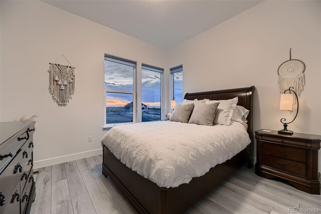 8868 Geyser Peak Way, Parker, CO 80138 - bedroom featuring light wood-type flooring and baseboards