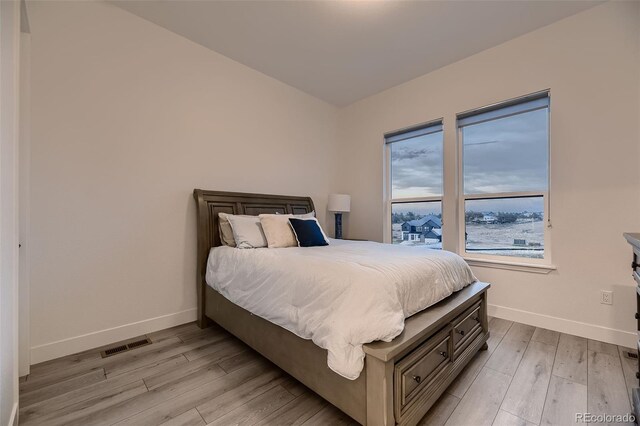 8868 Geyser Peak Way, Parker, CO 80138 - bedroom with baseboards and light wood-type flooring