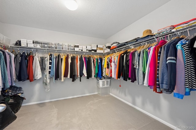 16268 Mount Silverheels Way, Broomfield, CO 80023 - spacious closet featuring carpet