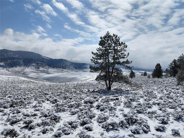 610 Carmen Rd, Twin Lakes CO, 81251 land for sale