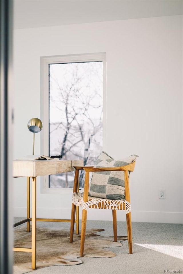 interior space with carpet and baseboards