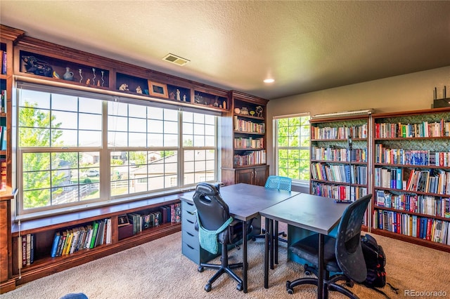 3172 Traver Dr, Broomfield, CO 80023 - photo 19