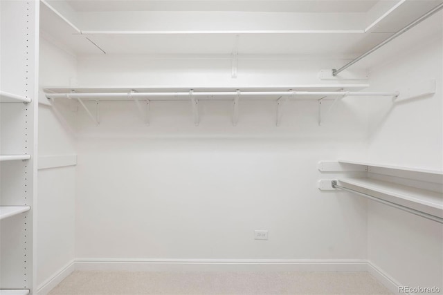 695 S Alton Way Unit 9C, Denver, CO 80247 - view of walk in closet