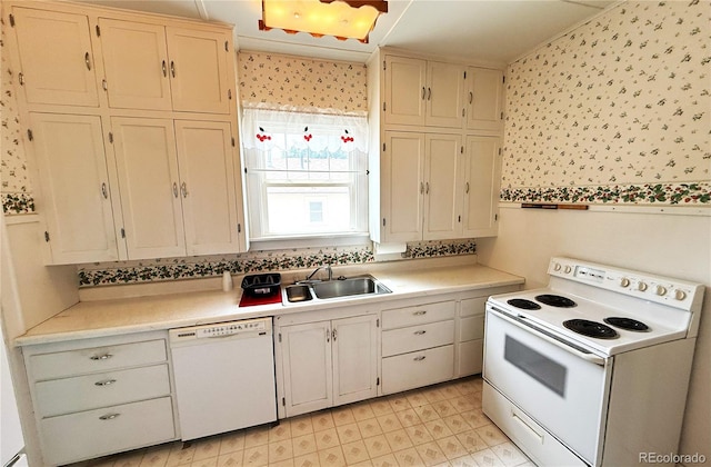 313 3rd St, Ovid, CO 80744 - photo 13