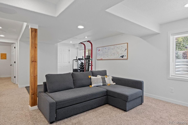 3357 Holly Hock Ct, Castle Rock, CO 80109 - living room featuring light carpet and recessed lighting