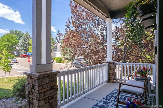 3357 Holly Hock Ct, Castle Rock, CO 80109 - view of porch