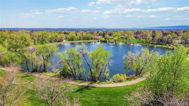 10550 W Jewell Ave Unit 301, Lakewood, CO 80232 - photo 28