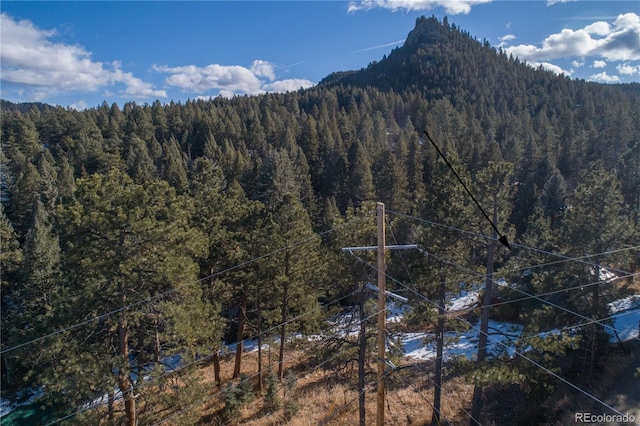 view of mountain feature