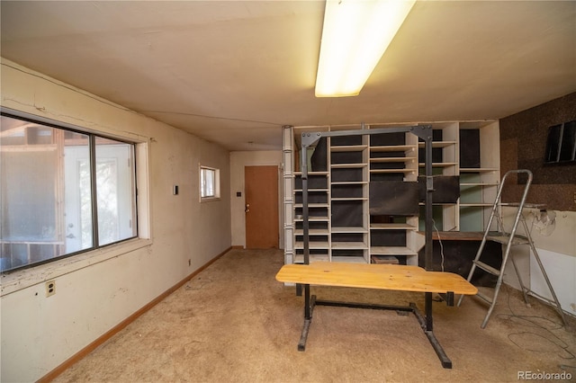 basement with carpet