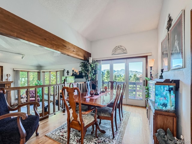 dining room with light wood-type flooring, a textured ceiling, and a wealth of natural light