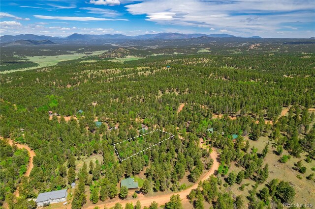 1093 Pinewood Rd, Florissant CO, 80816 land for sale