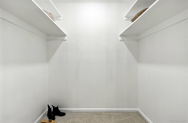 1092 E 16th Ave, Broomfield, CO 80020 - walk in closet featuring carpet floors