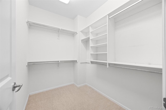 spacious closet with carpet flooring