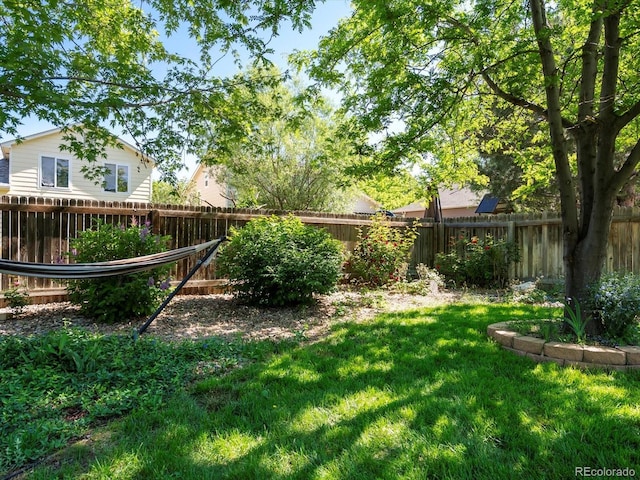 21351 E Williamette Pl, Centennial, CO 80015 - view of fenced backyard
