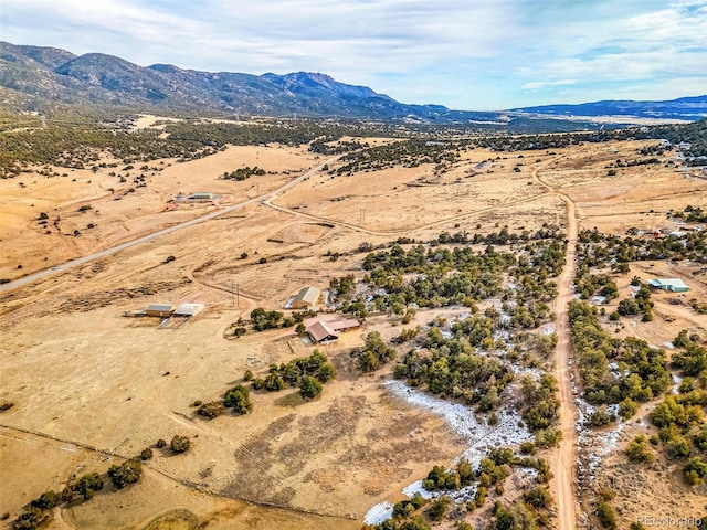 birds eye view of property featuring a mountain view