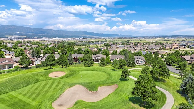 10239 Clovercrest Dr, Colorado Springs, CO 80920 - photo 5