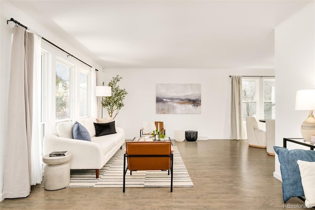 living room featuring wood finished floors