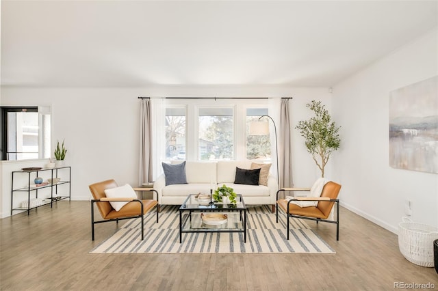 living area featuring baseboards and wood finished floors