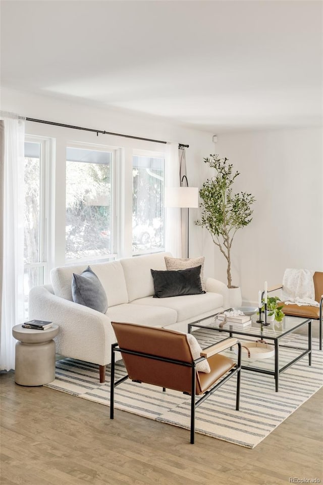 living area featuring wood finished floors