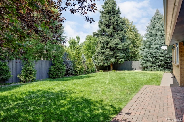 view of yard with a fenced backyard