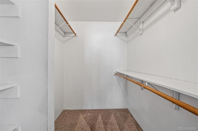 8600 E Alameda Ave Unit 13-108, Denver, CO 80247 - walk in closet featuring carpet floors