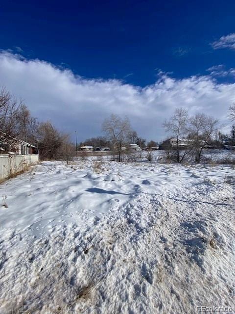 view of yard covered in snow