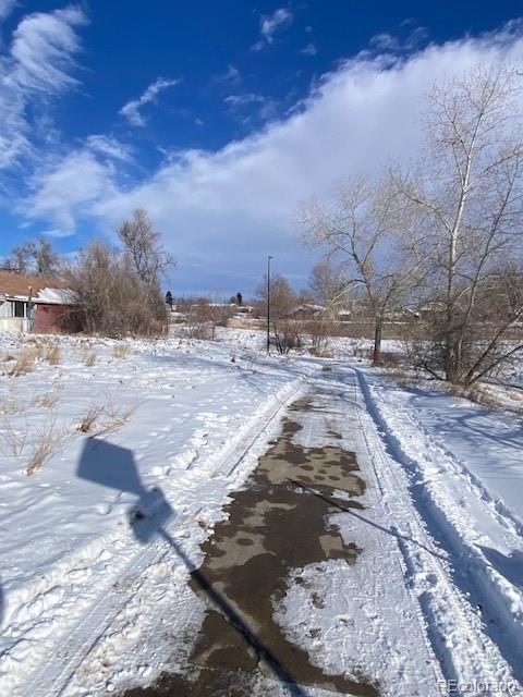 view of snowy yard