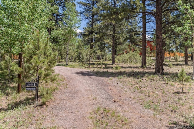 561 Quartz Cir, Bailey, CO 80421 - view of dirt / gravel road