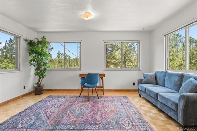 561 Quartz Cir, Bailey, CO 80421 - living room with plenty of natural light