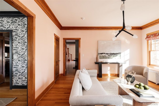 living room featuring hardwood / wood-style flooring, crown molding, and radiator