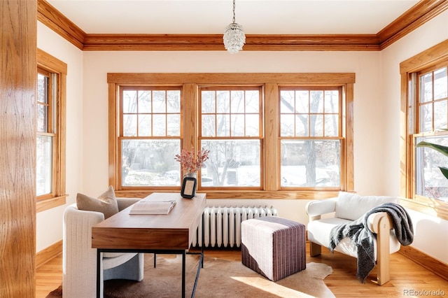 sunroom / solarium with radiator heating unit