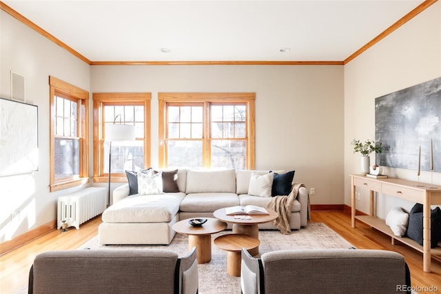 living room featuring radiator, ornamental molding, and light wood-type flooring