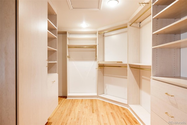 spacious closet with light hardwood / wood-style floors