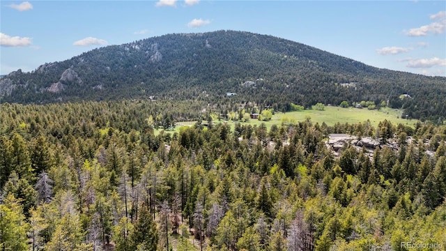 8701 Majestic View Dr, Conifer, CO 80433 - view of mountain background with a forest