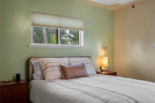8701 Majestic View Dr, Conifer, CO 80433 - view of bedroom