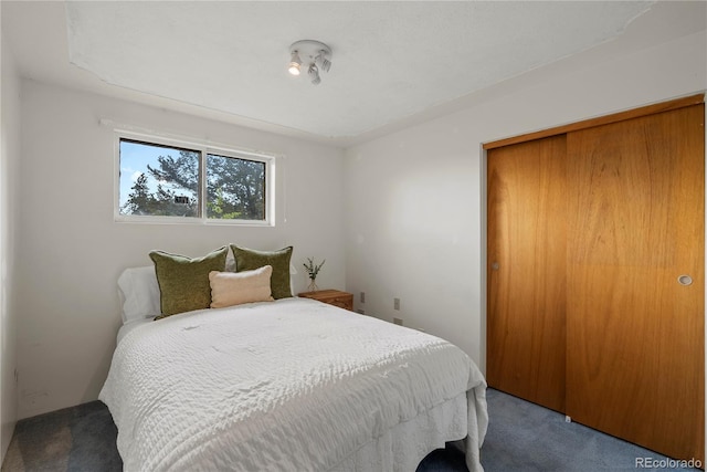 8701 Majestic View Dr, Conifer, CO 80433 - bedroom with carpet flooring and a closet