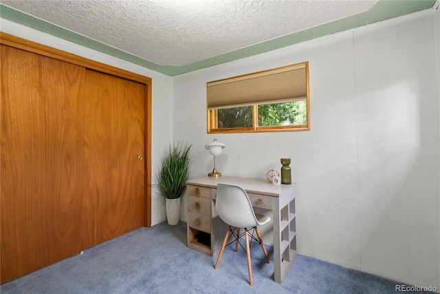 8701 Majestic View Dr, Conifer, CO 80433 - office space featuring carpet flooring and a textured ceiling