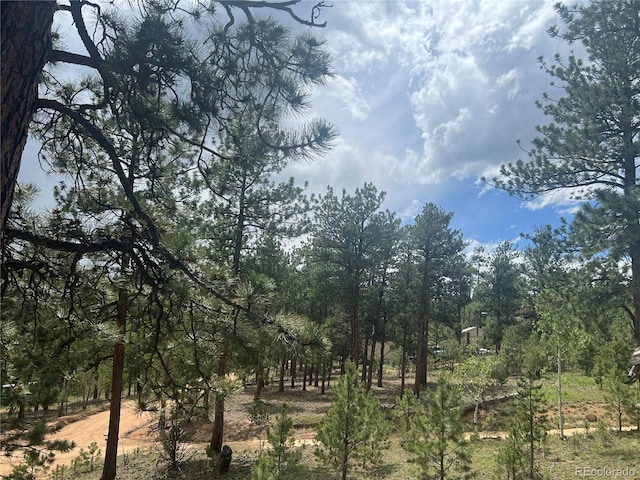 187 Johnson Rd, Bailey, CO 80421 - view of local wilderness