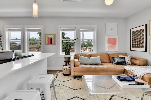 3178 N Race St, Denver, CO 80205 - living room with plenty of natural light, wood finished floors, and baseboards