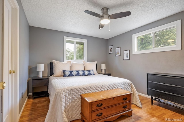 8369 W 77th Way, Arvada, CO 80005 - bedroom featuring multiple windows, light wood-style flooring, a textured ceiling, and ceiling fan