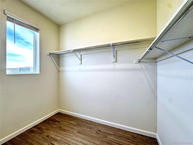 3865 Presidio Pt Unit 101, Colorado Springs, CO 80920 - walk in closet featuring dark wood-type flooring