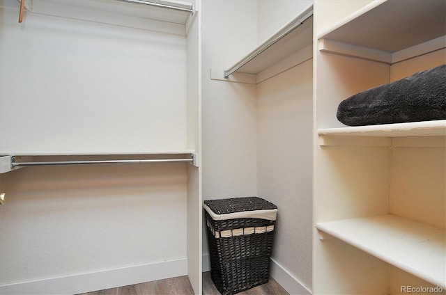 120 S San Juan Ave, Buena Vista, CO 81211 - walk in closet featuring wood finished floors